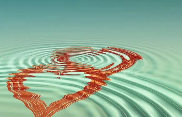 Casino Barbados Bingo Soporte